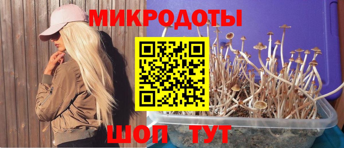 Вязьма  Галлюциногенные грибы Cubensis  Вход с VPN 